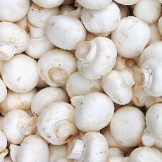 Sản Phẩm nổi bật