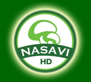 logo nam170