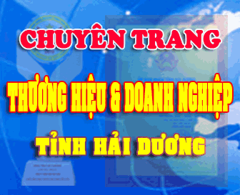 Website Thương hiệu